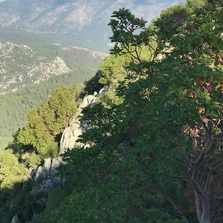 Aparthotel Lena Boutique