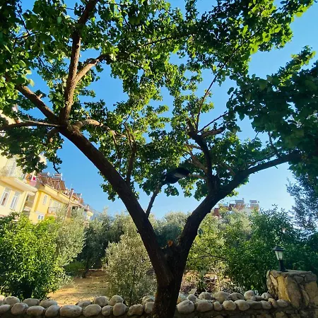 Lena Boutique Aparthotel *